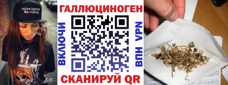 Псилоцибиновые грибы мицелий купить наркотики цена Отрадная