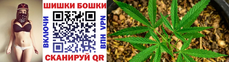 где найти наркотики  Отрадная  Бошки Шишки ГИДРОПОН 
